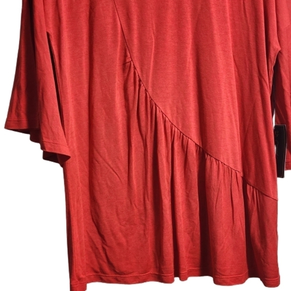 D2 by Diane Gilman short sleeve top tunic color rust size large - Picture 3 of 4
